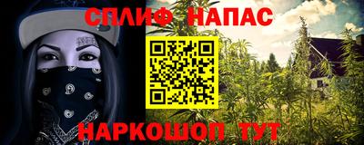 apvp Гатчина