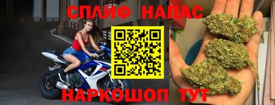 МДПВ Гай