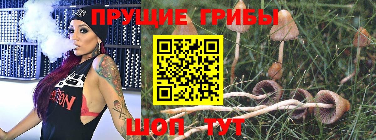 Псилоцибиновые грибы мицелий  Вход с VPN  Татарск 