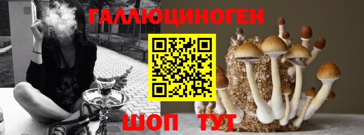 Псилоцибиновые грибы прущие грибы Татарск